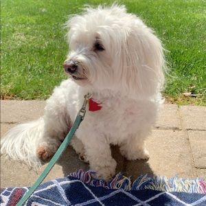 Meet your Posher, Deanna